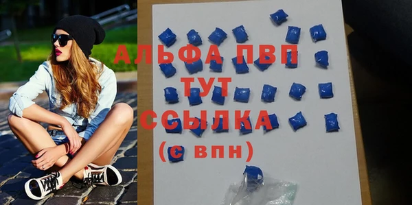 амф Ельня
