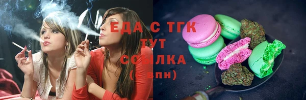 амф Ельня