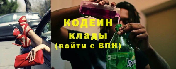 амф Ельня