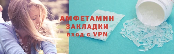 амф Ельня
