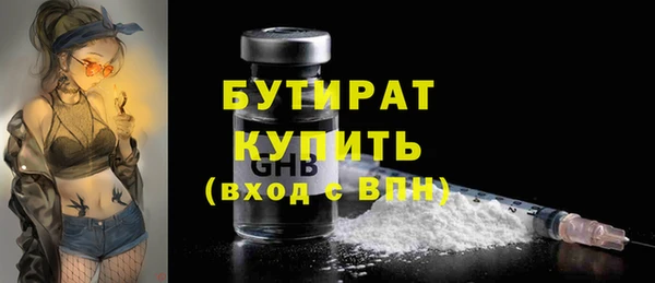 амф Ельня