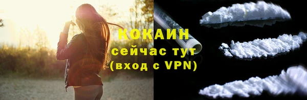 амф Ельня