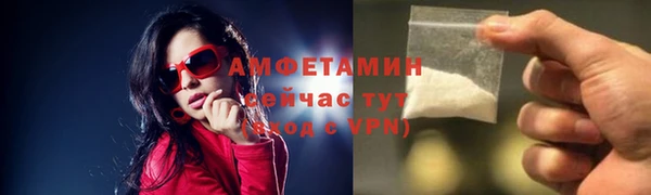 амф Ельня