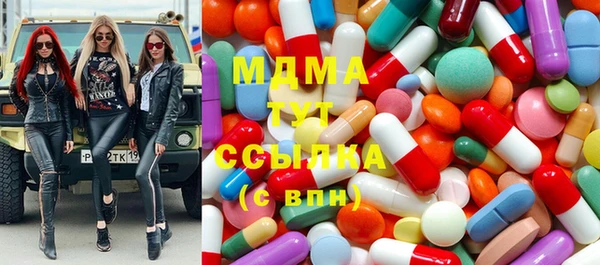 амф Ельня