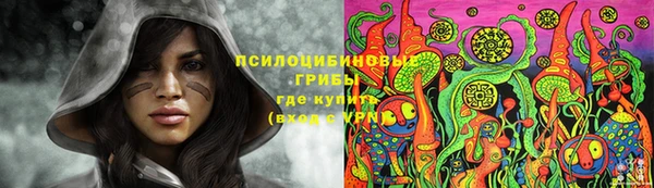 амф Ельня