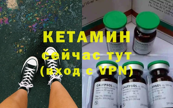 амф Ельня