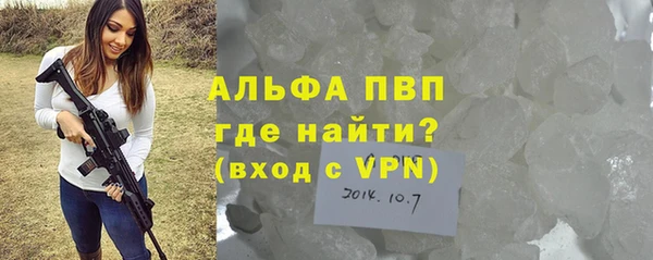 амф Ельня