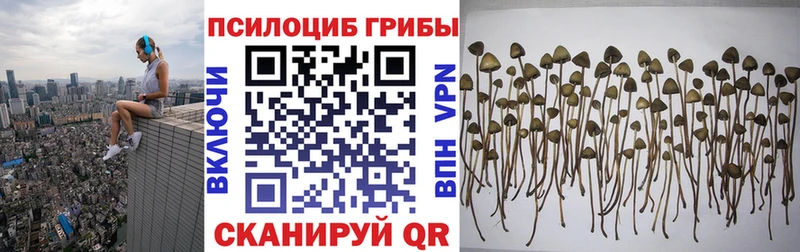 Псилоцибиновые грибы MAGIC MUSHROOMS  Купить  Южа 